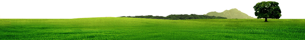 200807154882.jpg